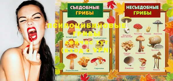 экстази Белокуриха