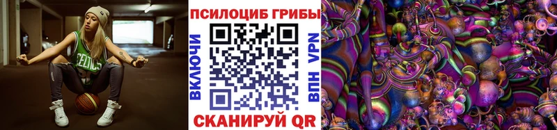 Псилоцибиновые грибы Psilocybe  Купить  Константиновск 