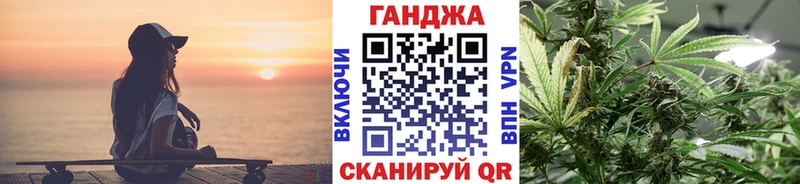 Купить закладки  Константиновск  Канабис сатива 